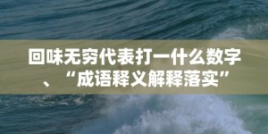 回味无穷代表打一什么数字、“成语释义解释落实”