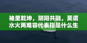 袖里乾坤，阴阳共融，莫谓水火两难容代表指是什么生肖猜打一正确数字，成语释义解释落实