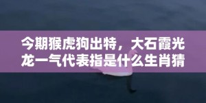 今期猴虎狗出特，大石霞光龙一气代表指是什么生肖猜打一正确数字，成语落实分析解答