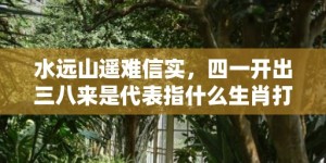 水远山遥难信实，四一开出三八来是代表指什么生肖打一最佳准确生肖数字，成语释义解释落实