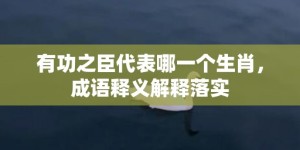 有功之臣代表哪一个生肖，成语释义解释落实