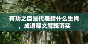 有功之臣是代表指什么生肖，成语释义解释落实