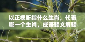 以正视听指什么生肖，代表哪一个生肖，成语释义解释落实