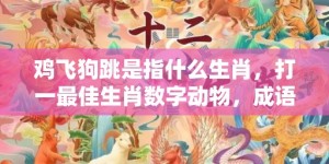 鸡飞狗跳是指什么生肖，打一最佳生肖数字动物，成语释义解释落实