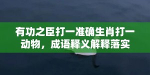 有功之臣打一准确生肖打一动物，成语释义解释落实