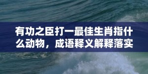 有功之臣打一最佳生肖指什么动物，成语释义解释落实