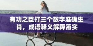 有功之臣打三个数字准确生肖，成语释义解释落实