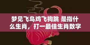 梦见飞鸟鸡飞狗跳 是指什么生肖，打一最佳生肖数字动物”成语释义解释落实“