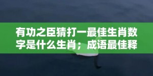 有功之臣猜打一最佳生肖数字是什么生肖；成语最佳释义解释答案