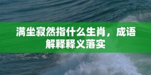 满坐寂然指什么生肖，成语解释释义落实