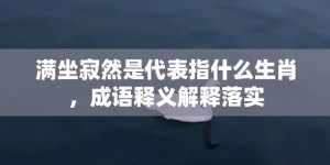 满坐寂然是代表指什么生肖，成语释义解释落实