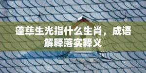 蓬荜生光指什么生肖，成语解释落实释义