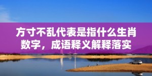 方寸不乱代表是指什么生肖数字，成语释义解释落实