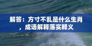 解答：方寸不乱是什么生肖，成语解释落实释义