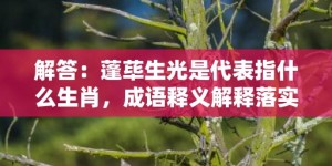 解答：蓬荜生光是代表指什么生肖，成语释义解释落实