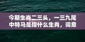 今期生肖二三头，一三九尾中特马是指什么生肖，词意最佳释义解释答