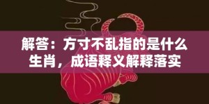 解答：方寸不乱指的是什么生肖，成语释义解释落实