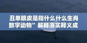 丑单眼皮是指什么什么生肖数字动物”解释落实释义成语“