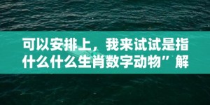 可以安排上，我来试试是指什么什么生肖数字动物”解释落实释义成语“