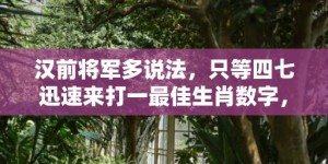 汉前将军多说法，只等四七迅速来打一最佳生肖数字，成语最佳释义解释答