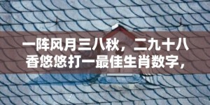 一阵风月三八秋，二九十八香悠悠打一最佳生肖数字，成语最佳释义解释答