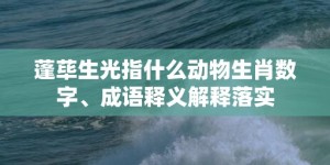 蓬荜生光指什么动物生肖数字、成语释义解释落实