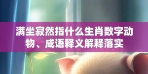 满坐寂然指什么生肖数字动物、成语释义解释落实