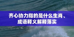 齐心协力指的是什么生肖、成语释义解释落实