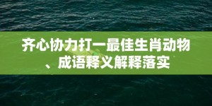 齐心协力打一最佳生肖动物、成语释义解释落实