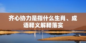 齐心协力是指什么生肖、成语释义解释落实