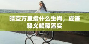 晴空万里指什么生肖，成语释义解释落实