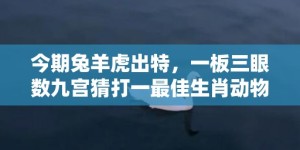 今期兔羊虎出特，一板三眼数九宫猜打一最佳生肖动物数字，成语释义解释落实