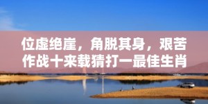 位虚绝崖，角脱其身，艰苦作战十来载猜打一最佳生肖动物数字，成语释义解释落实