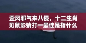 歪风邪气来八侵，十二生肖见鼠影猜打一最佳是指什么准确生肖动物，成语释义解释落实