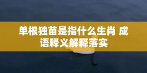 单根独苗是指什么生肖 成语释义解释落实