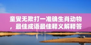 童叟无欺打一准确生肖动物，最佳成语最佳释义解释答