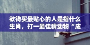 欲钱买最贴心的人是指什么生肖，打一最佳猜动物“成语最佳释义解释答”