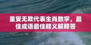 童叟无欺代表生肖数字，最佳成语最佳释义解释答