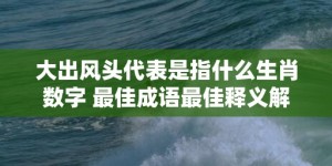 大出风头代表是指什么生肖数字 最佳成语最佳释义解释答