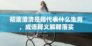 彻底澄清是指代表什么生肖，成语释义解释落实