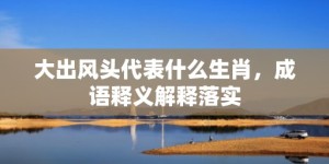 大出风头代表什么生肖，成语释义解释落实