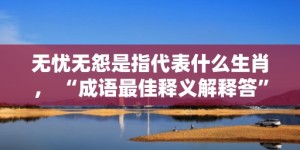 无忧无怨是指代表什么生肖， “成语最佳释义解释答”