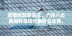 四面树敌称霸王，六伴八出两相好是指代表什么生肖、成语释义解释落实