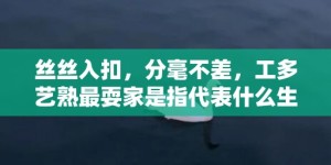 丝丝入扣，分毫不差，工多艺熟最耍家是指代表什么生肖、成语释义解释落实