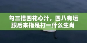 勾三搭四花心汁，四八有运跟后来指是打一什么生肖 “成语最佳释义解释答”