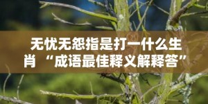 无忧无怨指是打一什么生肖 “成语最佳释义解释答”