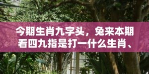 今期生肖九字头，兔来本期看四九指是打一什么生肖、成语释义解释落实