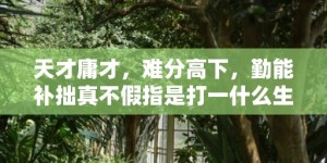 天才庸才，难分高下，勤能补拙真不假指是打一什么生肖，释义成语解释落实