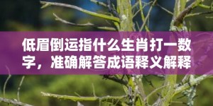 低眉倒运指什么生肖打一数字，准确解答成语释义解释