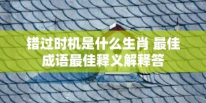 错过时机是什么生肖 最佳成语最佳释义解释答